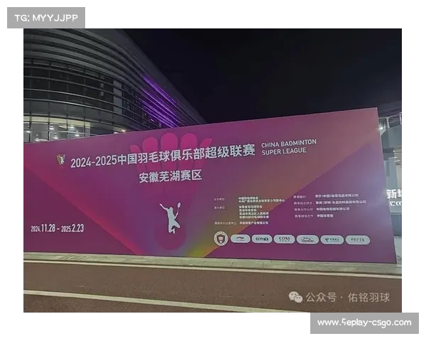 羽超联赛商业价值探析：俱乐部运营、赞助与球迷文化发展