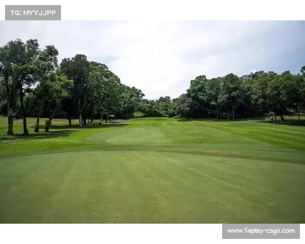 张雄熙主场建议:避开长草区是粉岭球场取胜之道 张雄熙主场建议:避开长草区是粉岭球场取胜之道